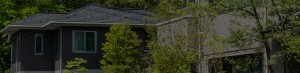 top_bg001